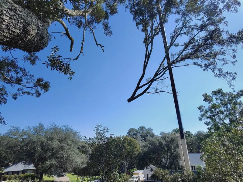 Crane-Assisted Removal